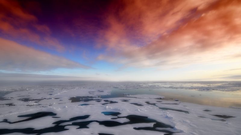 Landscape of the sea covered in broken up pieces of ice with the sky above displaying the colors of a sunset: pink, purple, and blue.