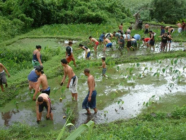 a group of peopleworking to restore a pond