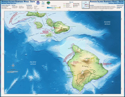 Hawaiian Islands Humpback Whale map